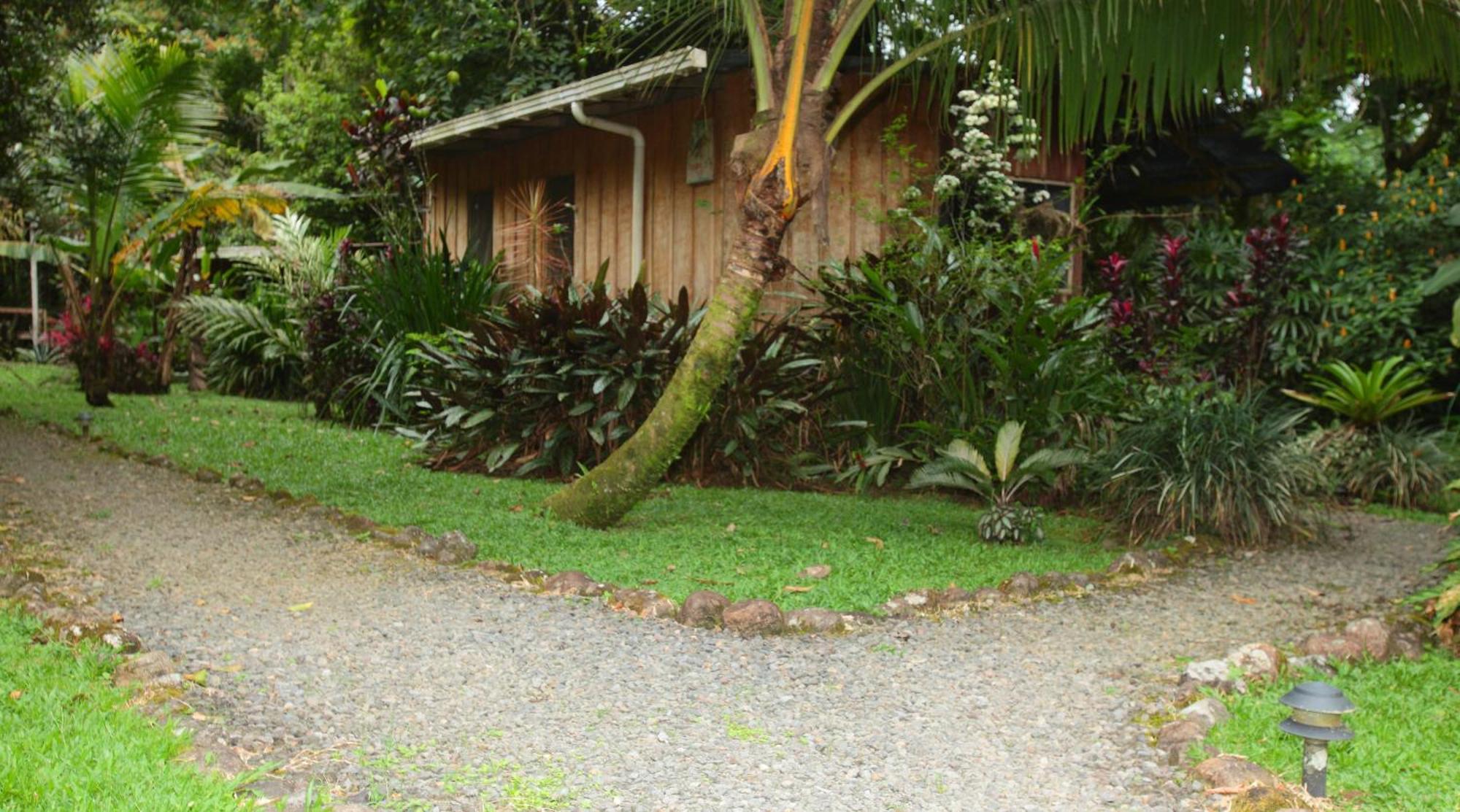 Casa Rio Blanco Eco Friendly B&B Guápiles Buitenkant foto