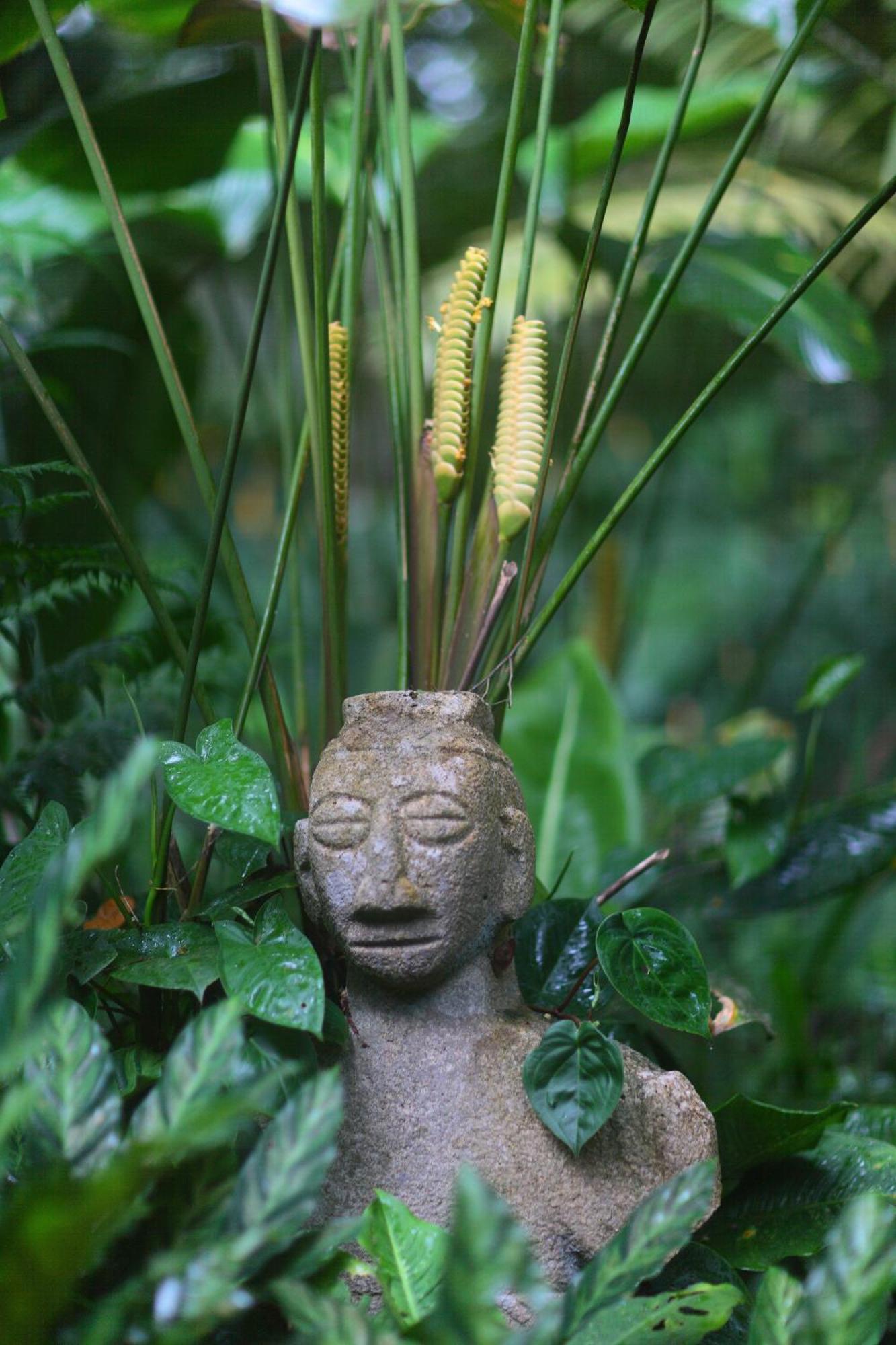 Casa Rio Blanco Eco Friendly B&B Guápiles Buitenkant foto