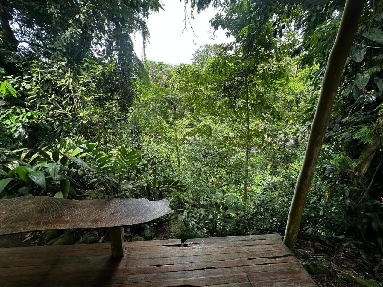 Casa Rio Blanco Eco Friendly B&B Guápiles Buitenkant foto