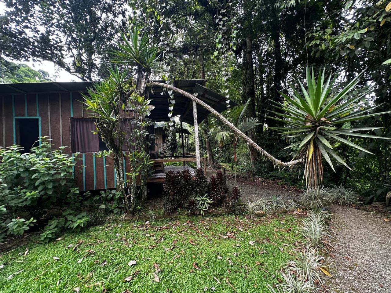 Casa Rio Blanco Eco Friendly B&B Guápiles Buitenkant foto