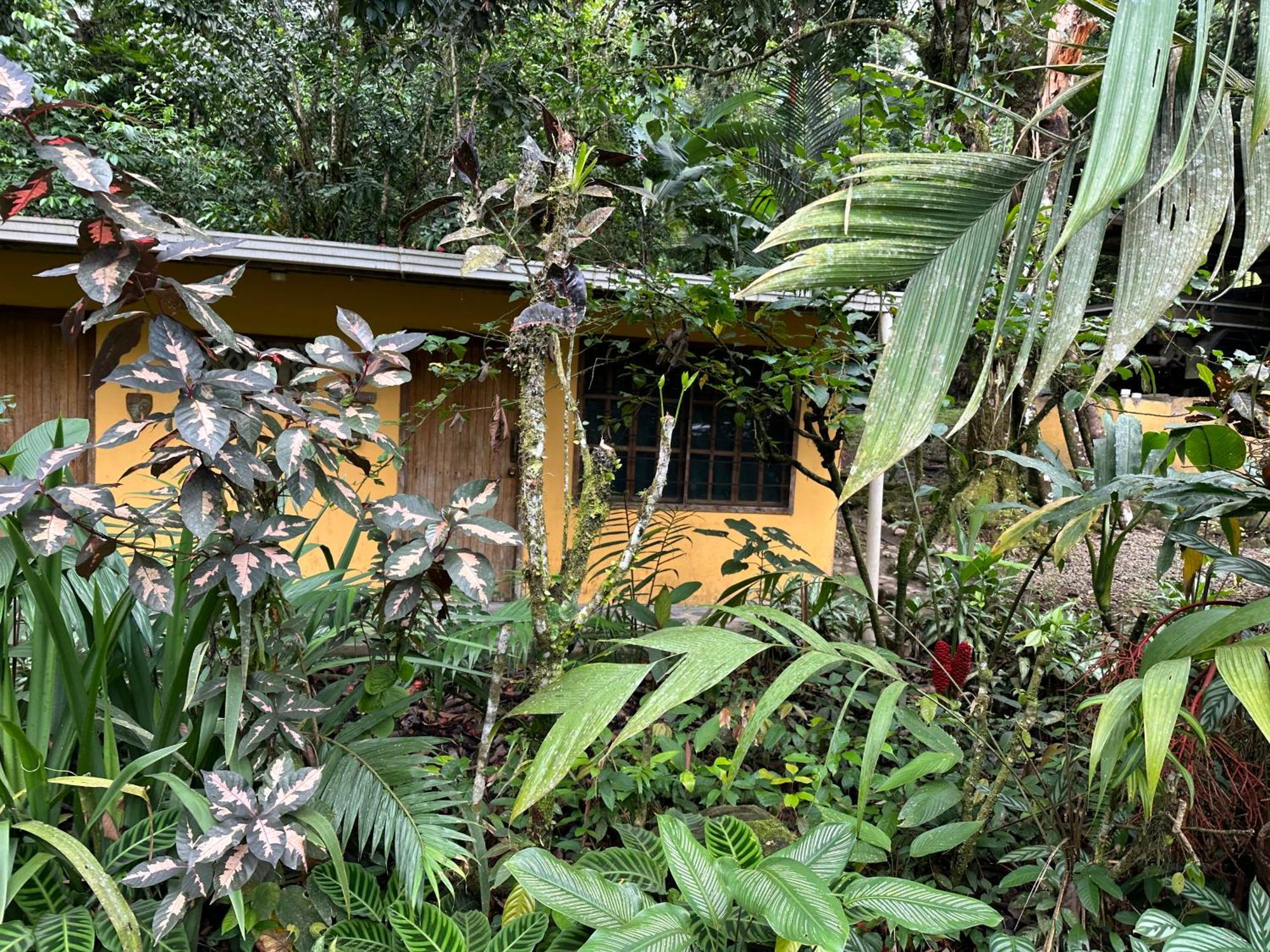 Casa Rio Blanco Eco Friendly B&B Guápiles Buitenkant foto