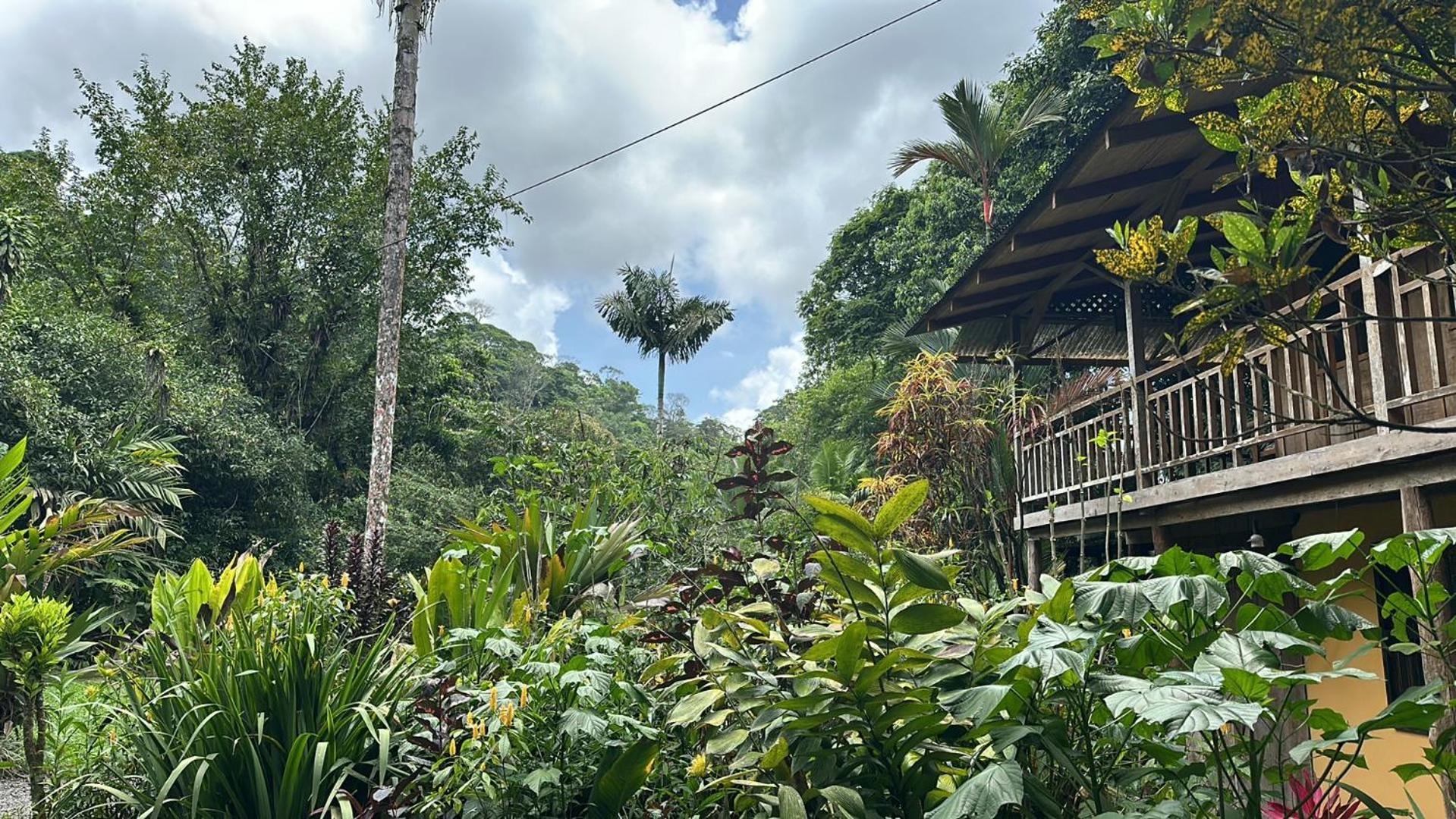 Casa Rio Blanco Eco Friendly B&B Guápiles Buitenkant foto