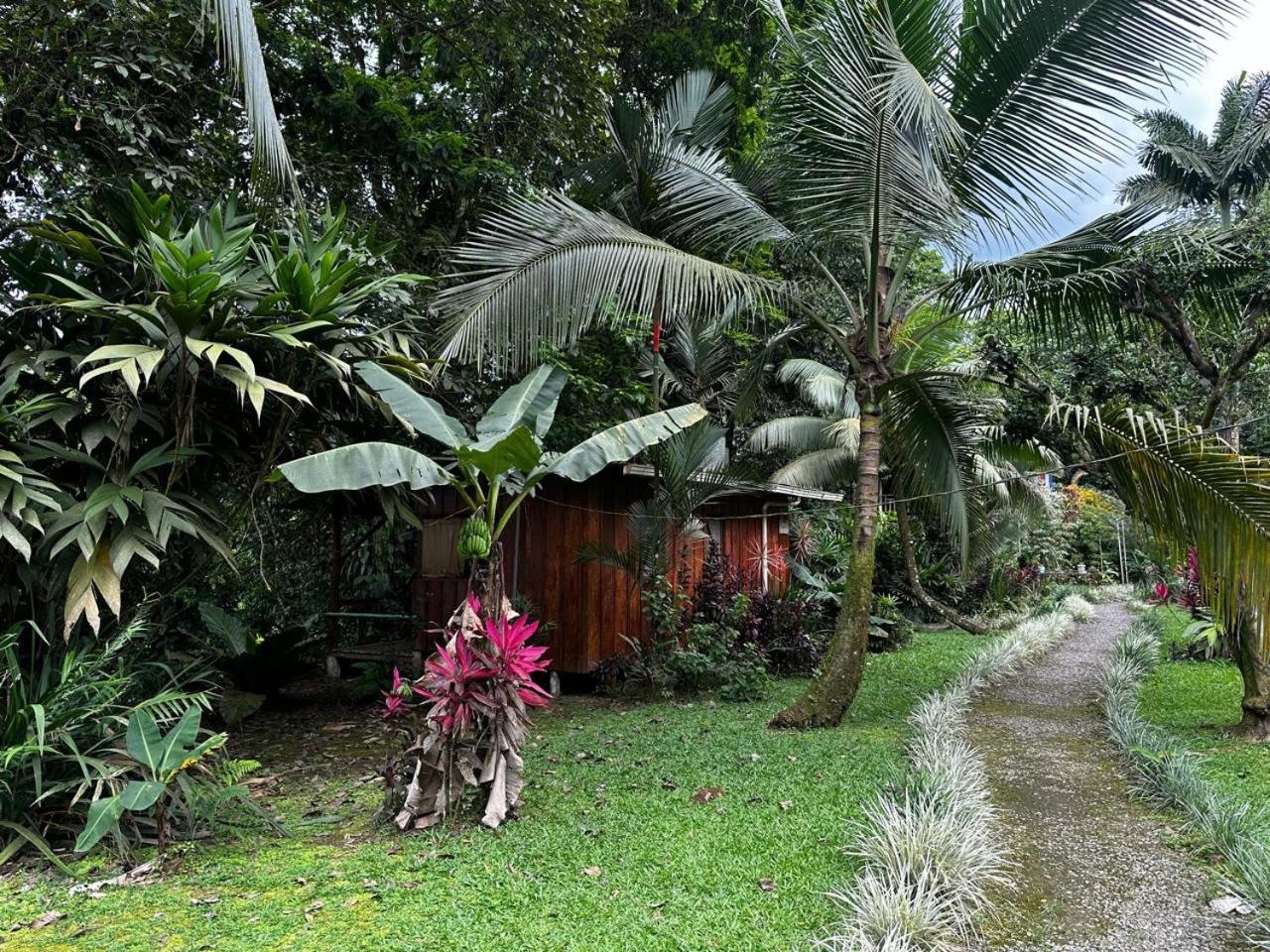 Casa Rio Blanco Eco Friendly B&B Guápiles Buitenkant foto