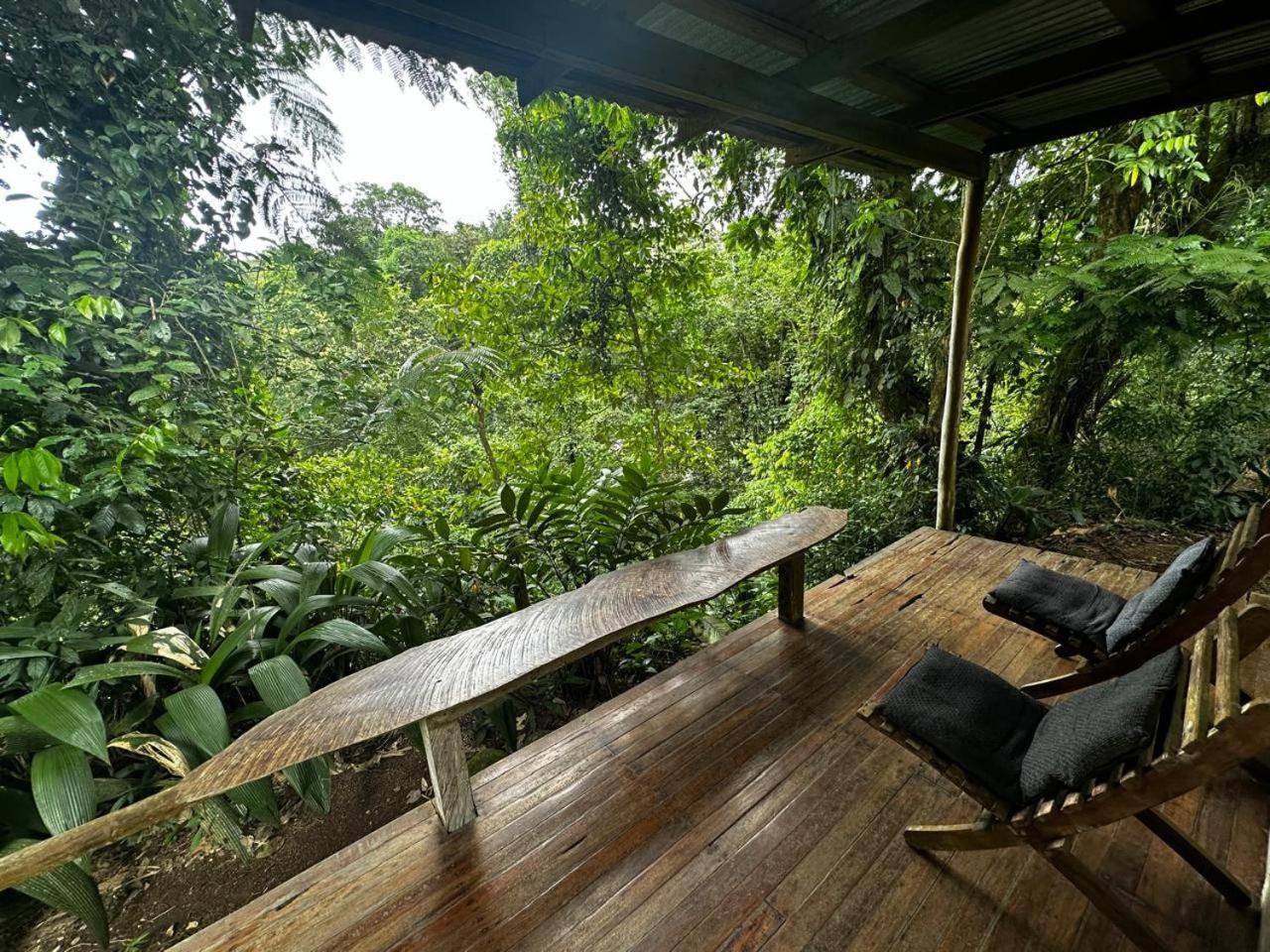 Casa Rio Blanco Eco Friendly B&B Guápiles Buitenkant foto